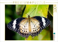Calvendo Puzzle Cethosia Cyane | 1000 Teile Lege-GrößE 64 × 48 Cm Foto-Puzzle Fü