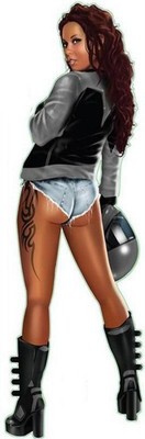 Aufkleber Motorrad Braut Pin Up Girl Grau 21 x 6,5 cm Urban Biker Babe Decal 
