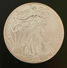 2013 AMERICAN SILVER EAGLE 1 OZ .999 Fine Silver Bullion Coin