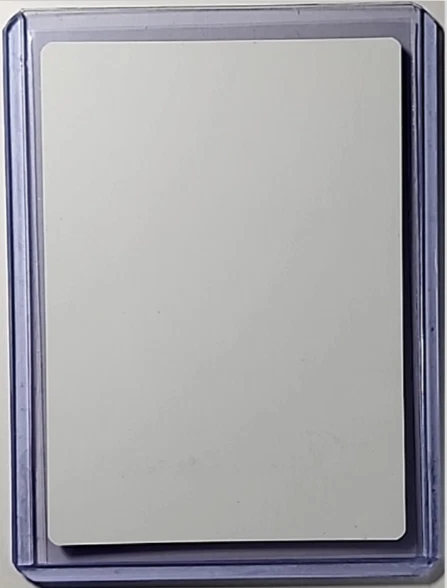 MTG Magic The Gathering Theros AP Artist Proof Auto Autograph Foil Nexus Wardens - Image 2 of 2