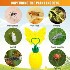 2X Fruit Fly Traps with Sticky Pads  For Plant Indoor Outdoor Yellow Gnat Sticky