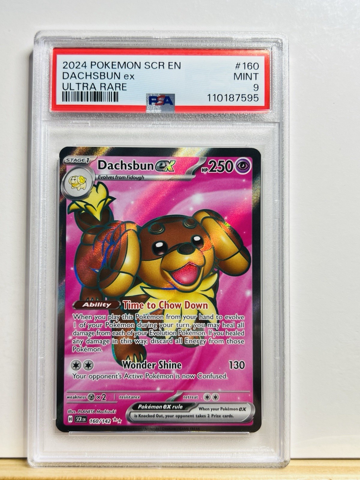 PSA 9 POKEMON DACHSBUN EX Full Art 160/142 STELLAR CROWN POKEMON