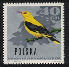 Poland Golden Oriole Bird 40gr 1966 MNH SG#1700