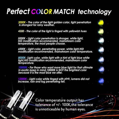New 9007 HID AC 55W CanBus Conversion Kit 3000K 4300K 6000K 8000K 10000K 12000K - Foto 4 di 5