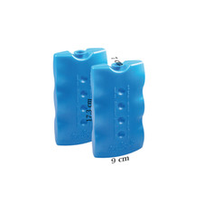 Set 2 Mattonelle Ghiaccio Sintetico 400 gr Giostyle Per Frigo e Borse Termiche