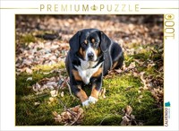 Calvendo Puzzle Herbstlich Mit Dem Entelbucher Sennenhund | 1000 Teile Lege-Größ