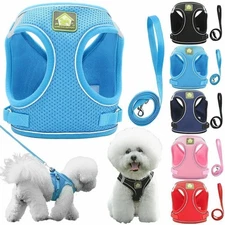 Pet Small Dog Puppy Harness Breathable Mesh Padded & Leash Set Vest Chest Strap