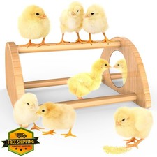 Ensayeer Chick Perch with Mirror Bamboo Roosting Bar Training Toy