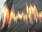 Bild 6 von 13