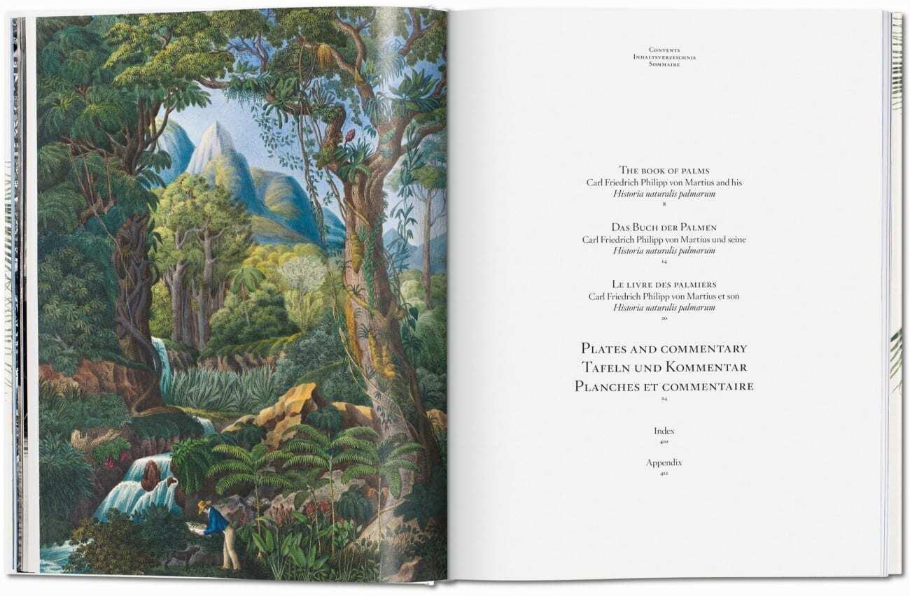 Thumbnail - Martius. The Book Of Palms H. Walter Lack