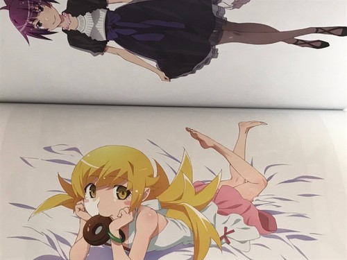 bakemonogatari anime 10th anniversary illustration work art book dame monogatari - Picture 18 of 23