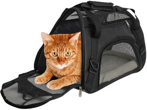 cat travel case