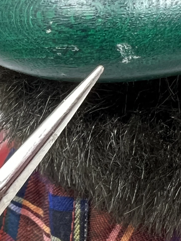 Quemador ahumador de incienso de madera escocés alemán irlandés Foto 4 de 4