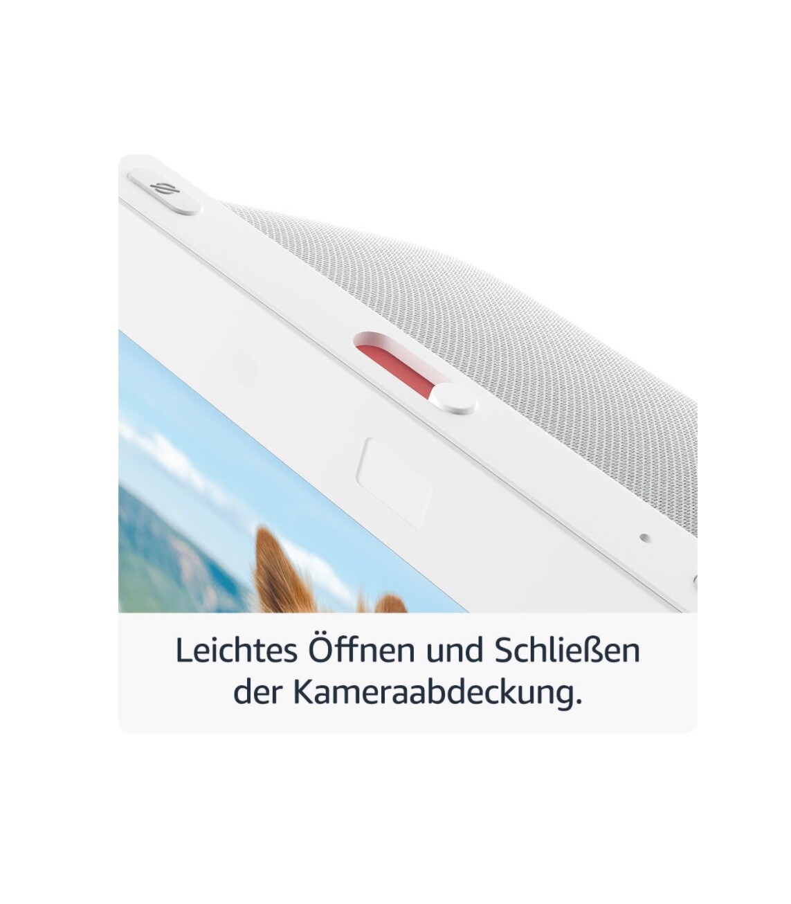 Bild 7 von 7