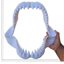 Shark Jaws 40cm 3d Printed Great White Replica Mini Megalodon Ornament