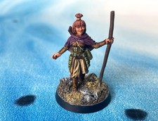 Female Wizard Sweetly Painted/Based Dungeons  Dragons Miniatures s1046