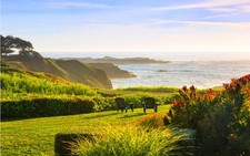 🌲YOUR REDWOOD SANCTUARY | 10,950 SQ FT IN MENDOCINO COUNTY 🌲