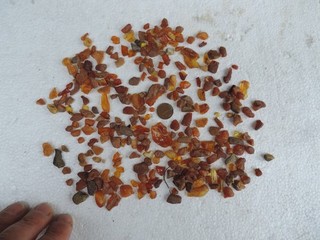 TOP Lot Bernsteine 50 00g (18)