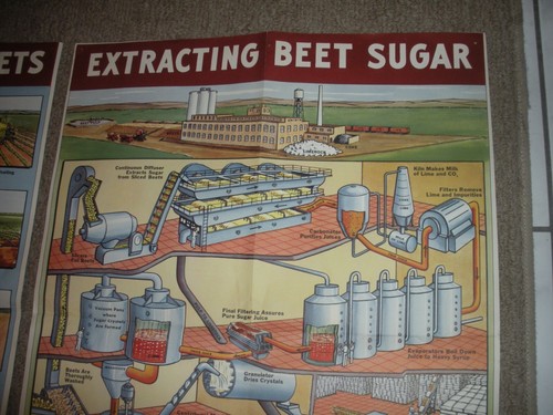 Rare Vintage 1950's? Extracting STORY Beet Sugar food Factory COMPLETE SET OF 4 - Picture 8 of 21