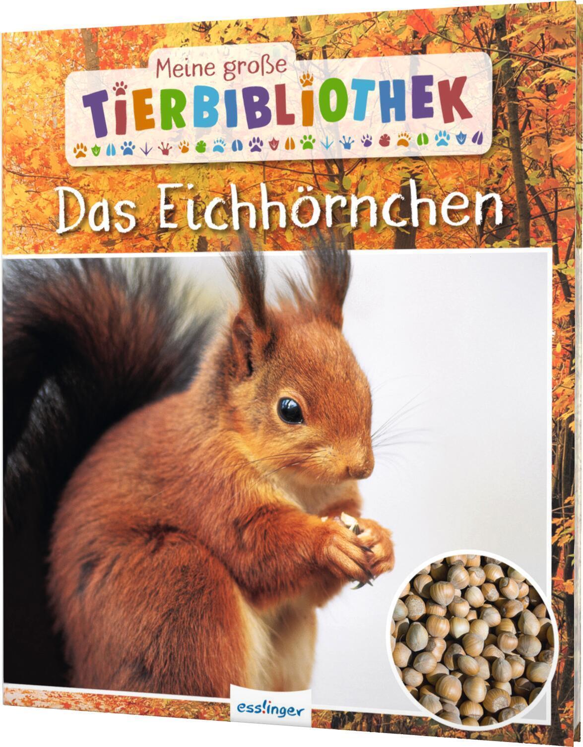 Thumbnail - Meine Große Tierbibliothek: Das Eichhörnchen Stéphanie Ledu-frattini