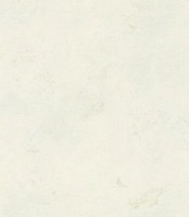 Rasch Tapete Vliestapete Botanical 416916 Beige Weiß Betonoptik
