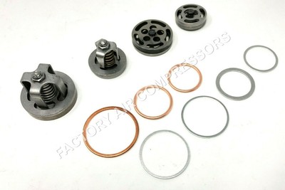 Champion Z6795 Valve Set with Head Unloaders and Gaskets For R15B & PL15A Pumps