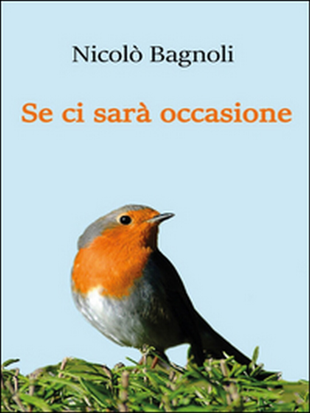 Se ci sarà occasione	 di Nicolò Bagnoli,  2016,  Youcanprint