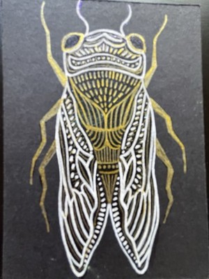 Original ACEO Art Card Painting Cicada Bug Insect