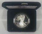 1994-P Proof American Silver Eagle ASE in Capsule and Velvet Box, No COA
