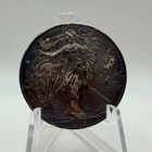 GORGEOUS TONING U.S. Mint American Silver Eagle 2009 1oz Silver One Dollar Coin