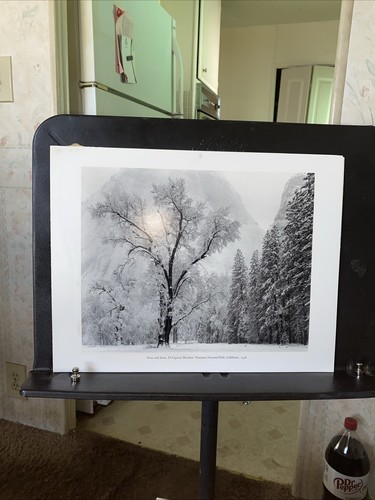 Ansel Adams Special Edition Silver Print, "Oak Tree, Snowstorm". Framed 22x18