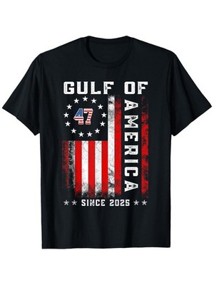 Gulf of USA America Funny Vintage USA Flag T-Shirt, American Bay T-shirt, M