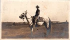 Vintage 1915 WW1 Era Photograph African American Soldier Era Man on Horseback