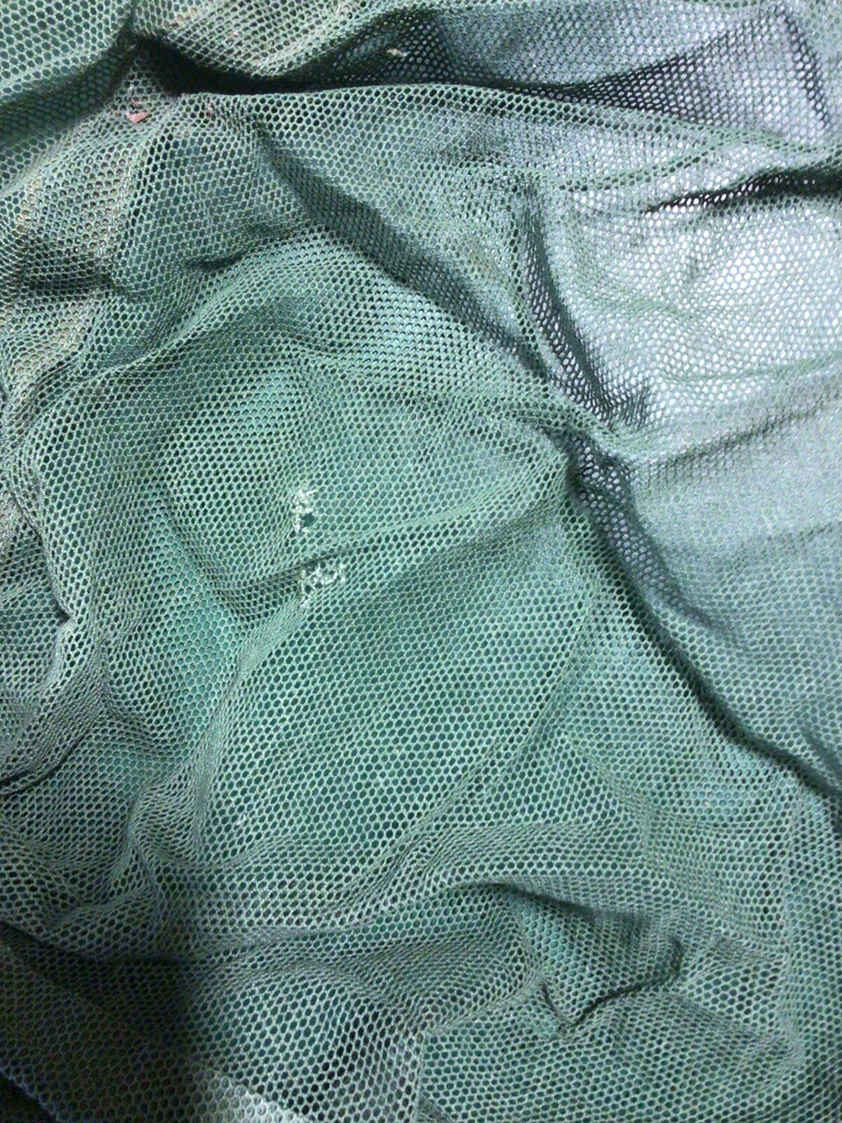 Picture 5 of 11