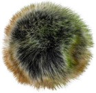 Bild 22 von 41