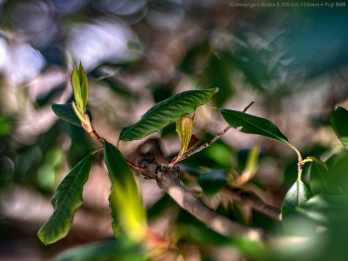 Lente proyectora Solex 133 mm para Fuji GFX 50r, Sony E, A7, Canon R Nikon Z - Imagen 9 de 12