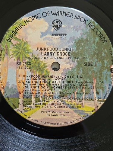 1976 Larry Groce Junkfood Junkie Record Vinyl 12" LP 33 RPM BS 2933 - 第 5/7 張圖片
