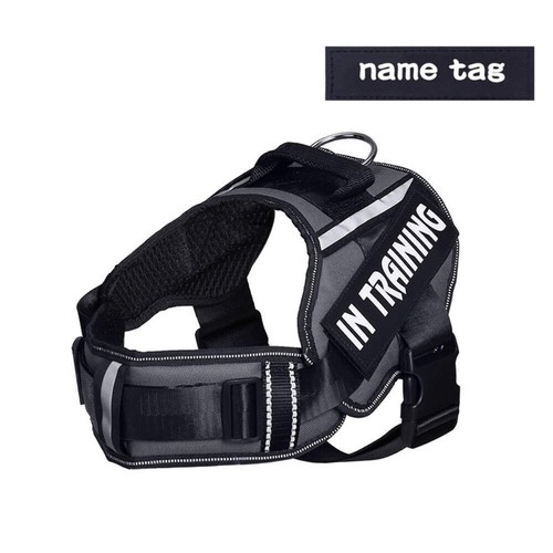 Personalised No-Pull Padded Dog Harness Small Medium Dogs Safety Strip Colourful - Picture 15 of 42