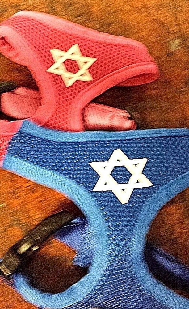 DOG HARNESS, ADJUSTABLE, STAR OF DAVID,  BLUE or PINK