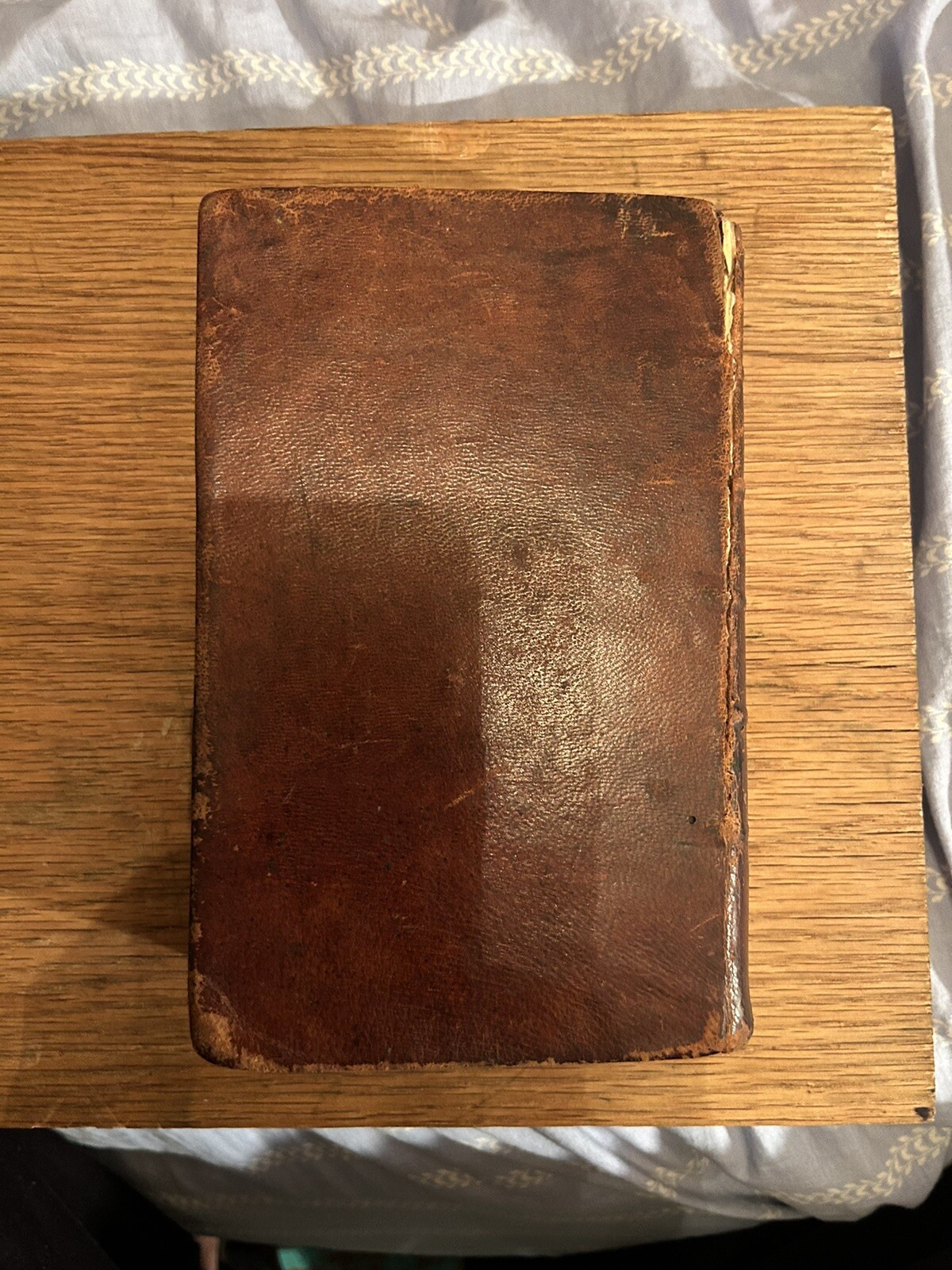 Picture 1 of 22