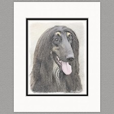 Afghan Hound Dog Black Original Art Print 8x10 Matted to 11x14