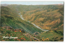 Postcard Hells Canyon of the Snake River, Berkeley, Calif Natural Color VTG ME2.