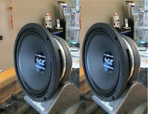 CORAL HD 260s Pair Used Subwoofer High 