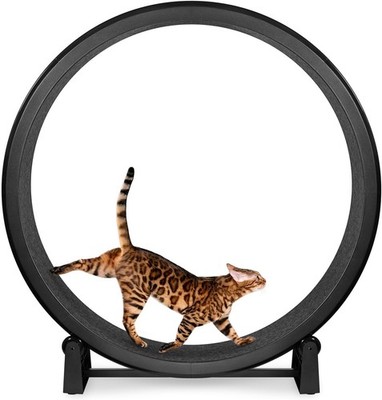 Cat Exercise Wheel - Gen. Safe Diameter - Made in The USA