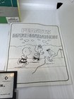 Foto 3 di 13
