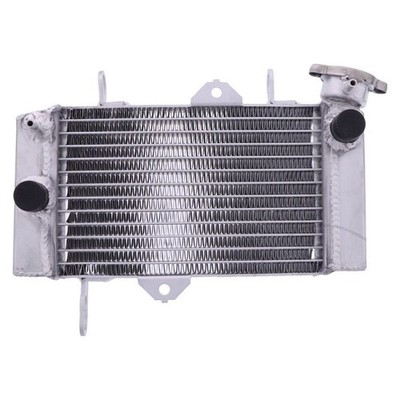 Wasserkühler für Yamaha MT 125 A MTN125-A ABS Baujahr 2020 - Neu