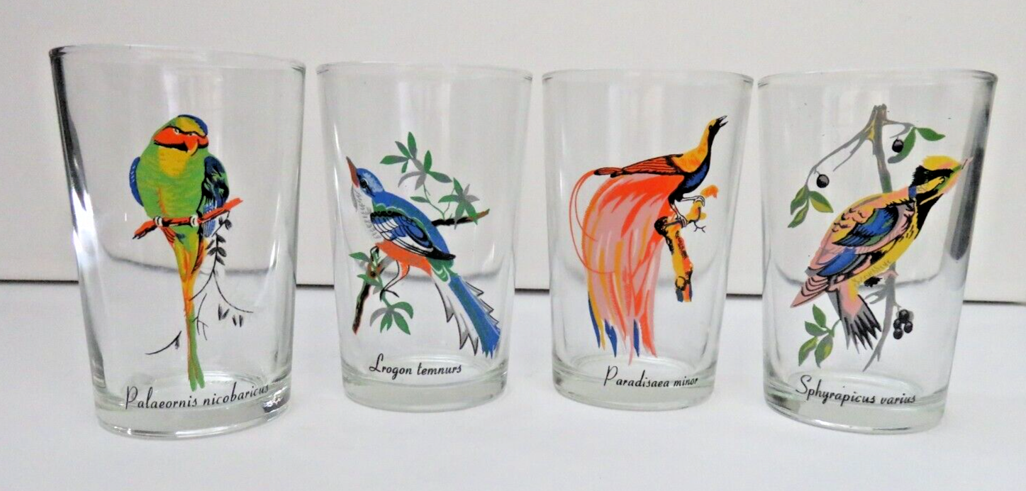 HandPainted Bird Juice Glasses with Latin Names Vintage Set of 4 eBay