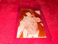 VINTAGE ELVIS PRESLEY COLOR SNAPSHOT PHOTOGRAPH ELVIS IN CONCERT