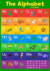 Alphabet And Number Wall Charts