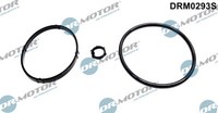 DRM0293S Dr.Motor Automotive Dichtungssatz, ÖLküHler FüR CitroËN,Fiat,Peugeot